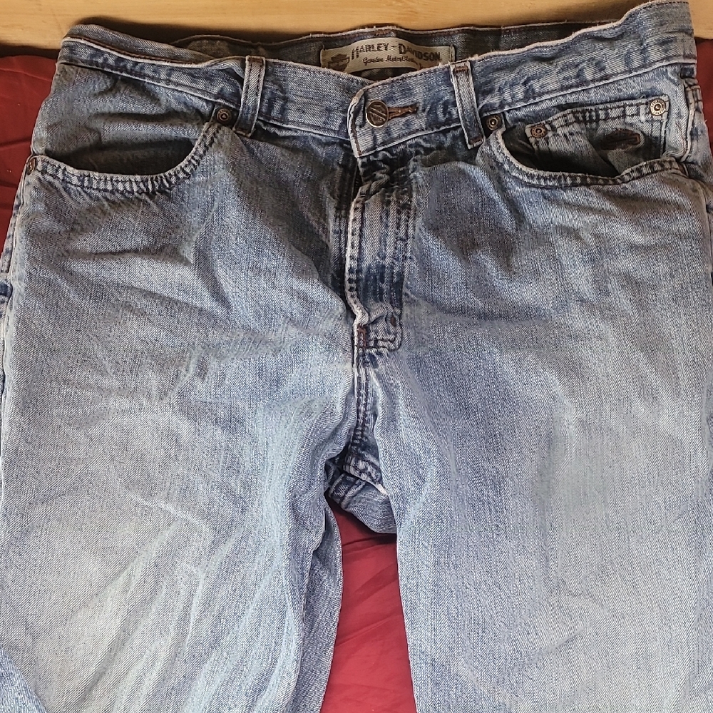 Harley-Davidson Men's Blue Jeans